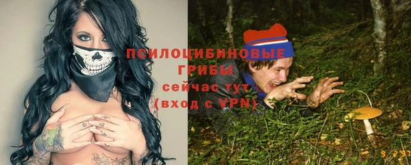 ешки Верхний Тагил