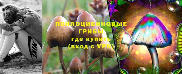 ALPHA PVP Бородино