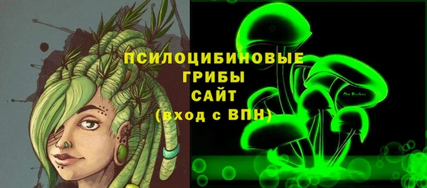 ешки Верхний Тагил
